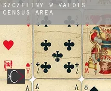 Szczeliny w  Valois (census area)