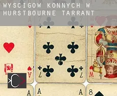 Wyścigów konnych w  Hurstbourne Tarrant