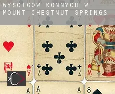 Wyścigów konnych w  Mount Chestnut Springs