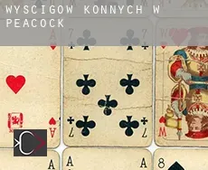 Wyścigów konnych w  Peacock
