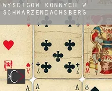 Wyścigów konnych w Schwarzendachsberg
