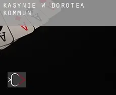 Kasynie w  Dorotea Kommun