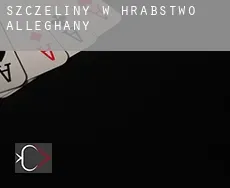 Szczeliny w  Hrabstwo Alleghany
