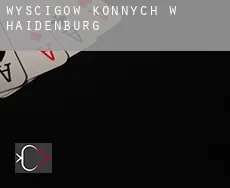 Wyścigów konnych w  Haidenburg
