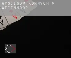 Wyścigów konnych w  Weißenmoor