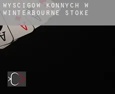 Wyścigów konnych w  Winterbourne Stoke