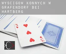 Wyścigów konnych w  Grafendorf bei Hartberg