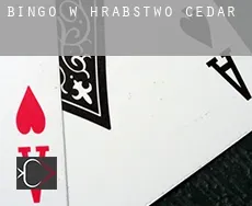 Bingo w Hrabstwo Cedar