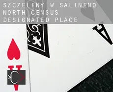 Szczeliny w  Salineno North
