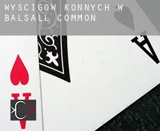Wyścigów konnych w  Balsall Common