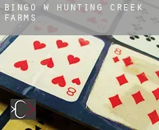 Bingo w  Hunting Creek Farms