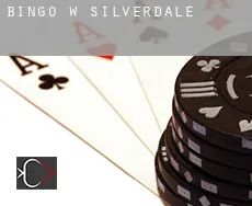 Bingo w  Silverdale