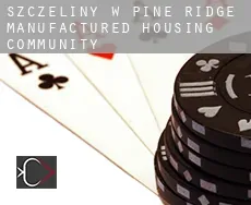 Szczeliny w  Pine Ridge Manufactured Housing Community