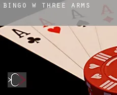 Bingo w  Three Arms