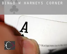 Bingo w  Harneys Corner