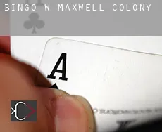 Bingo w  Maxwell Colony