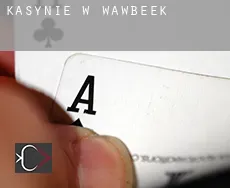 Kasynie w  Wawbeek
