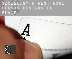 Szczeliny w West Wood
