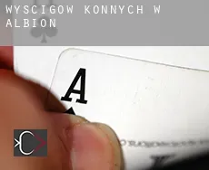 Wyścigów konnych w  Albion