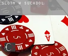 Sloty w  Suchdol