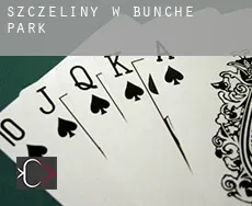 Szczeliny w  Bunche Park