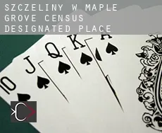 Szczeliny w  Maple Grove
