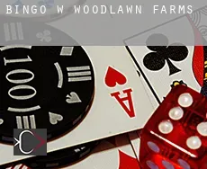 Bingo w  Woodlawn Farms