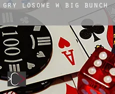 Gry losowe w  Big Bunch