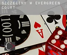 Szczeliny w  Evergreen Court