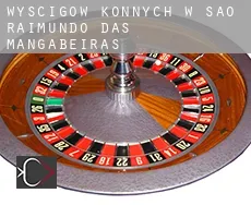 Wyścigów konnych w  São Raimundo das Mangabeiras