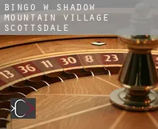 Bingo w  Shadow Mountain Village Scottsdale