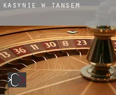 Kasynie w Tansem