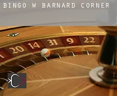 Bingo w  Barnard Corner