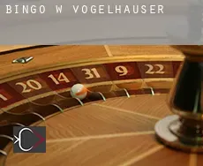 Bingo w  Vogelhäuser