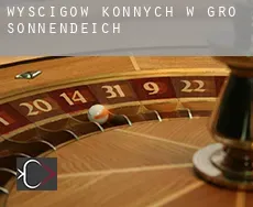 Wyścigów konnych w  Groß Sonnendeich