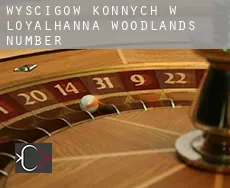 Wyścigów konnych w  Loyalhanna Woodlands Number 1
