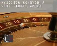 Wyścigów konnych w West Laurel Acres