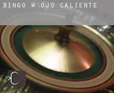 Bingo w Ojo Caliente
