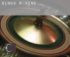 Bingo w  Vine