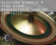 Wyścigów konnych w  Pine Ridge Manufactured Housing Community