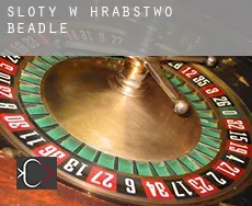 Sloty w  Hrabstwo Beadle