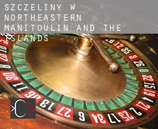 Szczeliny w  Northeastern Manitoulin and the Islands