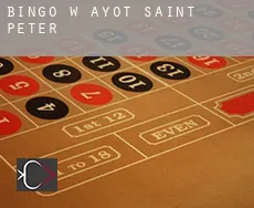 Bingo w  Ayot Saint Peter