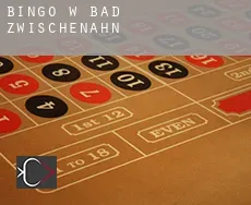 Bingo w Bad Zwischenahn