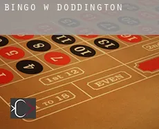 Bingo w Doddington