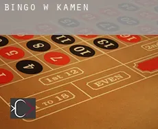 Bingo w  Kamen
