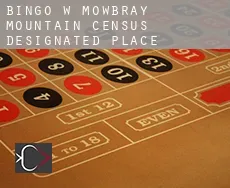 Bingo w  Mowbray Mountain