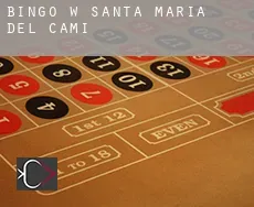 Bingo w Santa Maria del Camí