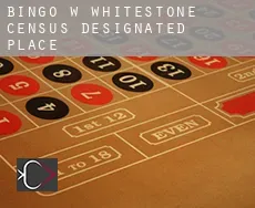Bingo w  Whitestone