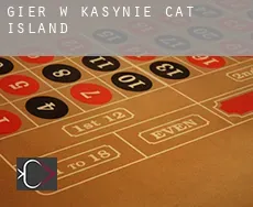 Gier w kasynie Cat Island